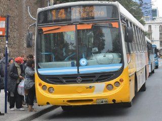 cordoba: advierten que con la quita de subsidios, el boleto de colectivo podria llegar a $38 cordoba: advierten que con la quita de subsidios, el boleto de colectivo podria llegar a $38