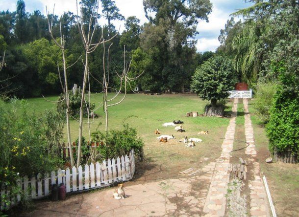 Piden ayuda para convertir el