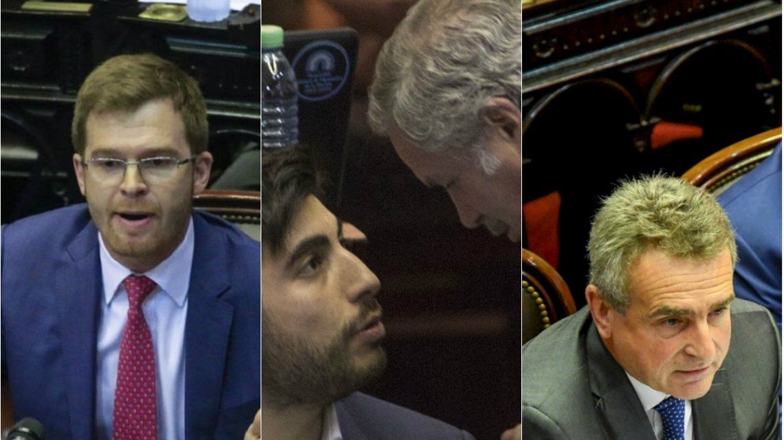 Presupuesto 2019: asÃ­ votÃ³ cada diputado