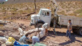 Encuentran en Neuquén una nueva especie de dinosaurio de hace 110 millones de años Encuentran en Neuquén una nueva especie de dinosaurio de hace 110 millones de años