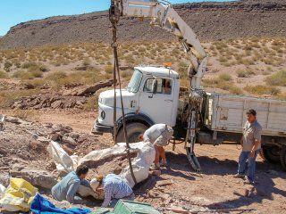 encuentran en neuquen una nueva especie de dinosaurio de hace 110 millones de anos encuentran en neuquen una nueva especie de dinosaurio de hace 110 millones de anos