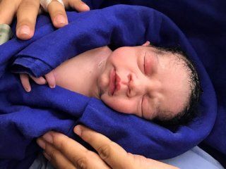 brasil: nacio el primer bebe concebido en un utero trasplantado de una donante fallecida brasil: nacio el primer bebe concebido en un utero trasplantado de una donante fallecida
