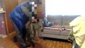 Youtuber asesinó a golpes a su gato y publicó el video: lo investiga la policía Youtuber asesinó a golpes a su gato y publicó el video: lo investiga la policía