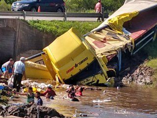 volco un camion, cayeron cervezas a un arroyo y los vecinos bucearon para llevarselas volco un camion, cayeron cervezas a un arroyo y los vecinos bucearon para llevarselas