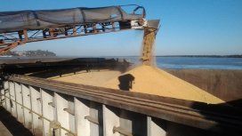 Desde África rechazan el trigo argentino por su mala calidad Desde África rechazan el trigo argentino por su mala calidad