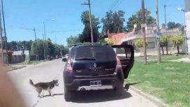 VIDEO: Un perro abandonado persiguió el auto de sus dueños por 15 cuadras y ni se inmutaron VIDEO: Un perro abandonado persiguió el auto de sus dueños por 15 cuadras y ni se inmutaron