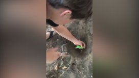 El dueño de Chimuelo tiene una nueva mascota: la cotorrita Menta El dueño de Chimuelo tiene una nueva mascota: la cotorrita Menta
