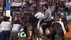 Un caballo murió durante la doma en el Festival de Jesús María Un caballo murió durante la doma en el Festival de Jesús María