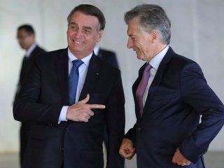 brasil bloqueo las peras y manzanas argentinas por una plaga brasil bloqueo las peras y manzanas argentinas por una plaga