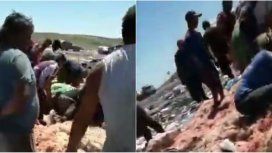 El drama de la pobreza en Mar del Plata: buscan pollos en mal estado en el basural El drama de la pobreza en Mar del Plata: buscan pollos en mal estado en el basural
