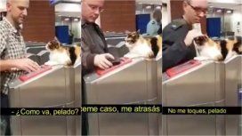Metrodelegato Metrodelegato