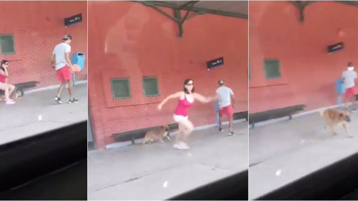 Así pegó un salto la mujer que abandonó a su perro
