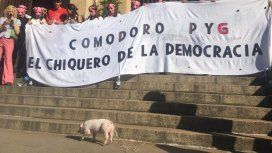 Comodoro PYG: protestaron con un chancho contra la corrupción en los tribunales Comodoro PYG: protestaron con un chancho contra la corrupción en los tribunales