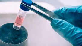 Buscan poner límite de 10 años para la conservación de embriones congelados Buscan poner límite de 10 años para la conservación de embriones congelados