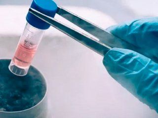 buscan poner limite de 10 anos para la conservacion de embriones congelados buscan poner limite de 10 anos para la conservacion de embriones congelados