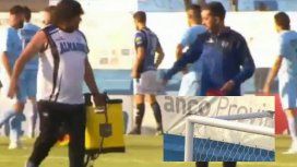 Abejas en el partido de Almagro y Temperley Abejas en el partido de Almagro y Temperley