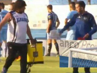 Abejas en el partido de Almagro y Temperley Abejas en el partido de Almagro y Temperley