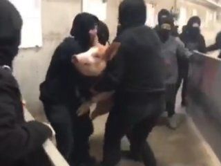 mas de 100 activistas ocuparon un matadero en espana para rescatar a siete cerdos mas de 100 activistas ocuparon un matadero en espana para rescatar a siete cerdos