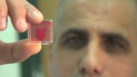 Crearon el primer corazón 3D con tejido humano Crearon el primer corazón 3D con tejido humano