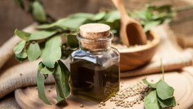 el negocio detrás del cannabis medicinal el negocio detrás del cannabis medicinal