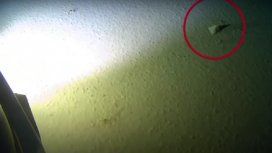 Batió el récord de inmersión en la fosa de las Marianas y encontró basura Batió el récord de inmersión en la fosa de las Marianas y encontró basura