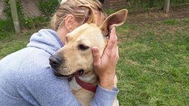Lautaro se lleva genial con humanos pero no tanto con otros perros. Piden una adopción con mimos para él solo. Lautaro se lleva genial con humanos pero no tanto con otros perros. Piden una adopción con mimos para él solo.