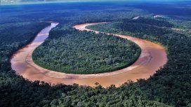 Brasil sigue arrasando la Amazonia: en un año Brasil sigue arrasando la Amazonia: en un año