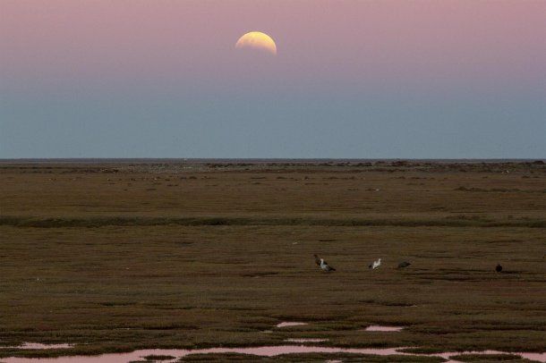 Así se vio el eclipse parcial de luna en Río Gallegos.
