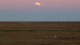 Así se vio el eclipse parcial de luna en Río Gallegos. Así se vio el eclipse parcial de luna en Río Gallegos.