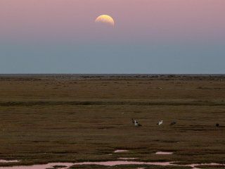 Así se vio el eclipse parcial de luna en Río Gallegos. Así se vio el eclipse parcial de luna en Río Gallegos.