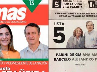 La jueza prohibió que las boletas electorales contengan símbolos en relación al aborto La jueza prohibió que las boletas electorales contengan símbolos en relación al aborto
