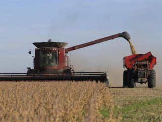 la liquidacion de dolares del campo es la menor de los ultimos tres anos la liquidacion de dolares del campo es la menor de los ultimos tres anos