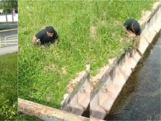 video: un discapacitado salvo a un gatito de morir ahogado video: un discapacitado salvo a un gatito de morir ahogado