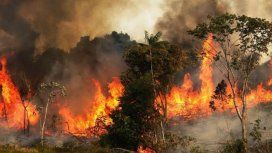 Graves incendios forestales en el Amazonas: las llamas invaden el pulmón del planeta Graves incendios forestales en el Amazonas: las llamas invaden el pulmón del planeta