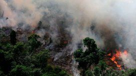 Documentos filtrados muestran que Bolsonaro tiene planes devastadores para el Amazonas Documentos filtrados muestran que Bolsonaro tiene planes devastadores para el Amazonas