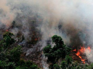 documentos filtrados muestran que bolsonaro tiene planes devastadores para el amazonas documentos filtrados muestran que bolsonaro tiene planes devastadores para el amazonas