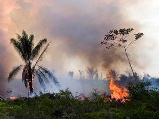 incendios en el amazonas: bolsonaro prohibe por dos meses la quema de campos incendios en el amazonas: bolsonaro prohibe por dos meses la quema de campos