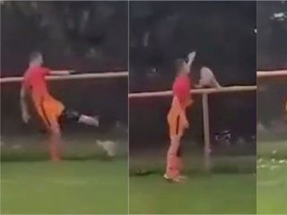 mato a una gallina de una patada en pleno partido de futbol mato a una gallina de una patada en pleno partido de futbol