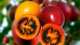 Las 5 frutas del Norte argentino que no vas a encontrar en la verdulería Las 5 frutas del Norte argentino que no vas a encontrar en la verdulería