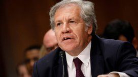 La OEA publicó su informe final sobre las elecciones en Bolivia La OEA publicó su informe final sobre las elecciones en Bolivia