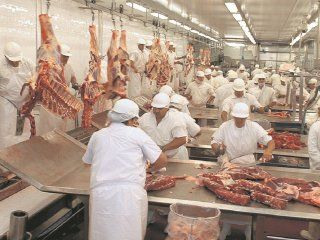 gremio de la carne obtuvo otro 17% en paritarias y una suma fija de 2.500 pesos para noviembre gremio de la carne obtuvo otro 17% en paritarias y una suma fija de 2.500 pesos para noviembre