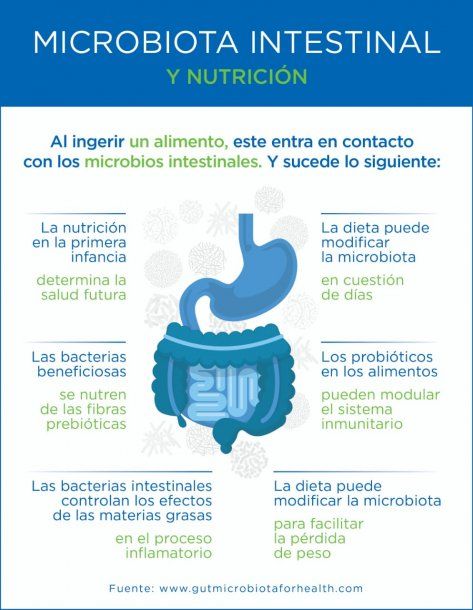 Produccion de serotonina en el intestino