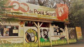 Más de 22 mil personas compraron un zoológico para liberar a los animales Más de 22 mil personas compraron un zoológico para liberar a los animales
