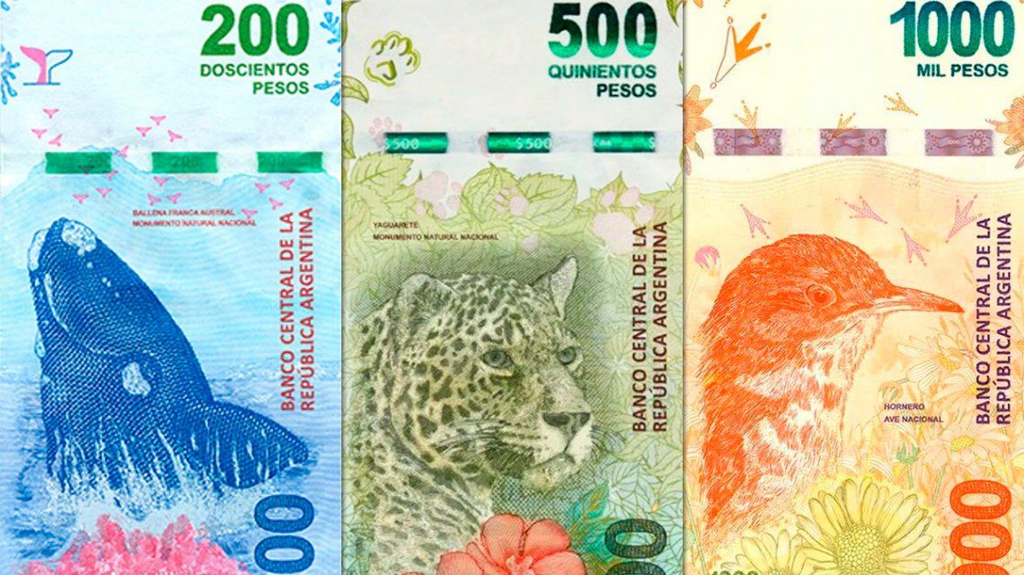 Un filtro de Instagram permite que los animales de los billetes hablen Un filtro de Instagram permite que los animales de los billetes hablen