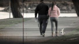 Violencia de género: el maltrato animal como mecanismo para hostigar a la mujer Violencia de género: el maltrato animal como mecanismo para hostigar a la mujer