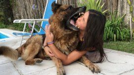 Quiso hacer una producción de fotos con un perro y terminó desfigurada Quiso hacer una producción de fotos con un perro y terminó desfigurada