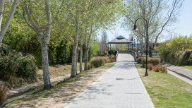 Un adolescente atropelló y mató a su abuela cuando le enseñaba a manejar Un adolescente atropelló y mató a su abuela cuando le enseñaba a manejar