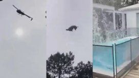 No nos sorprende: el repudio de la ex de Federico Álvarez Castillo tras el polémico video No nos sorprende: el repudio de la ex de Federico Álvarez Castillo tras el polémico video