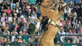 Denuncian penalmente al festival de Jesús María por maltrato animal: qué pasó con la yegua accidentada Denuncian penalmente al festival de Jesús María por maltrato animal: qué pasó con la yegua accidentada