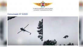 Video del chancho de Álvarez Castillo: la Fuerza Aérea Uruguaya está efectuando una investigación Video del chancho de Álvarez Castillo: la Fuerza Aérea Uruguaya está efectuando una investigación